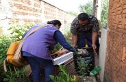 Dourados confirma 7&ordf; morte por chikungunya 