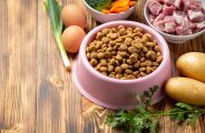 Alimenta&ccedil;&atilde;o natural pode reduzir doen&ccedil;as renais em animais de estima&ccedil;&atilde;o