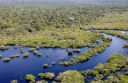 MS 'estica' prazo para produtores receberem por preservar &aacute;rea nativa no Pantanal