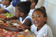 Escolas de MS poder&atilde;o comprar alimentos da agricultura familiar por plataforma online