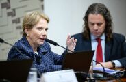 Comiss&atilde;o do Senado aprova renegocia&ccedil;&atilde;o de d&iacute;vida rural