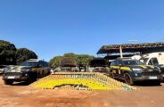 PRF apreende 591 Kg de coca&iacute;na em "Cavalo Doido" na Capital