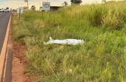 Pol&iacute;cia investiga morte por atropelamento na BR-376