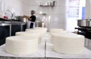 Ap&oacute;s adiamento, tradicional Festa do Queijo come&ccedil;a nesta sexta-feira