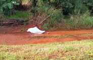 Madrugada de frio intenso faz tr&ecirc;s v&iacute;timas por hipotermia em Campo Grande e Dourados