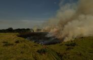 Bombeiros de MS usam manejo integrado do fogo para evitar grandes inc&ecirc;ndios