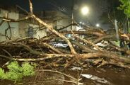 Tempestades castigam Mato Grosso do Sul neste domingo