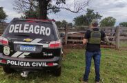 Pol&iacute;cia recupera R$ 301 mil em gado roubado e prende dois receptores