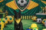Sele&ccedil;&atilde;o de quatro patas: c&atilde;es ganham posi&ccedil;&otilde;es em campo e &aacute;lbum de figurinhas da Copa
