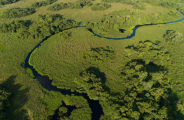Produtores se op&otilde;em &agrave; cria&ccedil;&atilde;o de ref&uacute;gio ambiental em MS