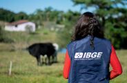  IBGE abre 284 vagas em MS para o Censo Agropecu&aacute;rio com sal&aacute;rios de at&eacute; R$ 4 mil