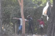 Criminosos que atravessavam haitianos ilegalmente de Corumb&aacute; para a Bol&iacute;via s&atilde;o condenados