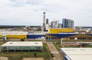 De olho em pre&ccedil;o melhor, gigantes da celulose reduzem exporta&ccedil;&atilde;o