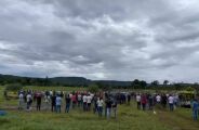Fazenda ocupada em Sidrol&acirc;ndia divide narrativas entre esquerda e direita em MS