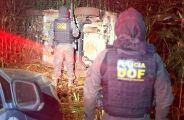 DOF apreende quase 800 kg de droga em milharal ap&oacute;s capotamento