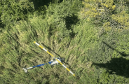 Helic&oacute;ptero que saiu de MS &eacute; interceptado com quase 300 quilos de coca&iacute;na em S&atilde;o Paulo