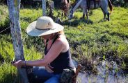 Alem&atilde; v&iacute;tima de acidente ajudou a tornar Pantanal e MS globais