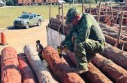 Advogado p&otilde;e em xeque maior apreens&atilde;o de coca&iacute;na da hist&oacute;ria