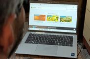 Plataforma d&aacute; cursos gratuitos de 'como cuidar do Pantanal'