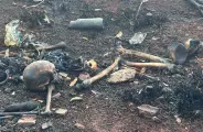Ossada humana &eacute; encontrada em mata; Pol&iacute;cia apura caso em Campo Grande