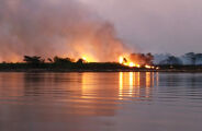 &Aacute;rea queimada no Pantanal cresce 770% e quatro inc&ecirc;ndios seguem ativos
