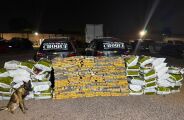 Choque apreende 1,2 tonelada de maconha em Campo Grande