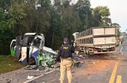 Colis&atilde;o entre micro-&ocirc;nibus e carreta deixa 23 mortos no Paran&aacute;