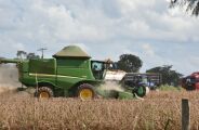Agro de MS recebe cr&eacute;dito recorde do BNDES