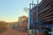 Desabamento interrompe tr&aacute;fego, for&ccedil;a desvios e gera preju&iacute;zos no escoamento da produ&ccedil;&atilde;o