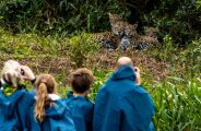 Confira as melhores dicas de passeio para conhecer o Pantanal de Corumb&aacute;