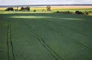 Senado aprova plano para fabrica&ccedil;&atilde;o de fertilizantes no Brasil