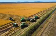 Por R$ 161 milh&otilde;es, fazenda do arroz Tio Bepy vai a leil&atilde;o 
