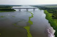 Polui&ccedil;&atilde;o da celulose come&ccedil;a a tomar conta do 3&ordm; maior lago do pa&iacute;s