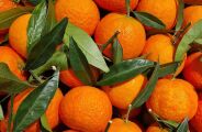 Nutricionista explica benef&iacute;cios do consumo da tangerina e ensina como escolher a fruta