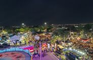 Expogen&eacute;tica deve superar 100 mil visitantes e movimentar mais de R$ 200 milh&otilde;es em MS