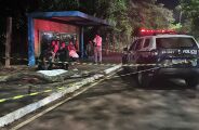 Mulher morre ao ser atingida por galho de &aacute;rvore no Parque dos Poderes