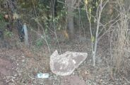 Homem &eacute; encontrado decapitado e com bra&ccedil;os amarrados em MS