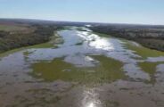 Nova hidrel&eacute;trica avan&ccedil;a em rio que enfrenta crise ambiental em MS