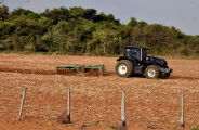 El Ni&ntilde;o pode afetar desempenho da agricultura de MS em 2027