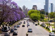 Al&eacute;m das flores: conhe&ccedil;a 5 destinos na Am&eacute;rica do Sul para viver a primavera com os cinco sentidos