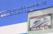 Gigante da celulose banca reforma da sala do chefe da fiscaliza&ccedil;&atilde;o ambiental