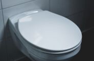 Adeus, vaso sanit&aacute;rio branco: nova tend&ecirc;ncia come&ccedil;a a dominar os banheiros modernos