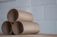 Antes de jogar fora os rolos de papel higi&ecirc;nico, veja estas 7 ideias que podem surpreender