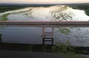 Usina suspende vertimento das plantas geradas pela polui&ccedil;&atilde;o da celulose