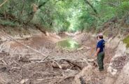 Rio da Prata enfrenta seca e mobiliza a&ccedil;&otilde;es de resgate de peixes