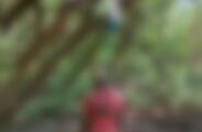 Cad&aacute;ver &eacute; encontrado enforcado em &aacute;rea de mata no Jardim do P&ecirc;nfigo