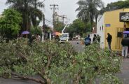 Ap&oacute;s temporal, Prefeitura cria for&ccedil;a-tarefa para antecipar novos eventos extremos