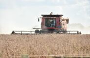 Pot&ecirc;ncia do agro, MS n&atilde;o tem cidade no Top 10 da produ&ccedil;&atilde;o agr&iacute;cola
