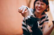 Novo estudo feito em 93 pa&iacute;ses revela uma liga&ccedil;&atilde;o surpreendente entre gatos e felicidade