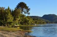 Chile procura volunt&aacute;rios para viver em meio &agrave; floresta com acomoda&ccedil;&atilde;o em troca de 20 horas semanais
